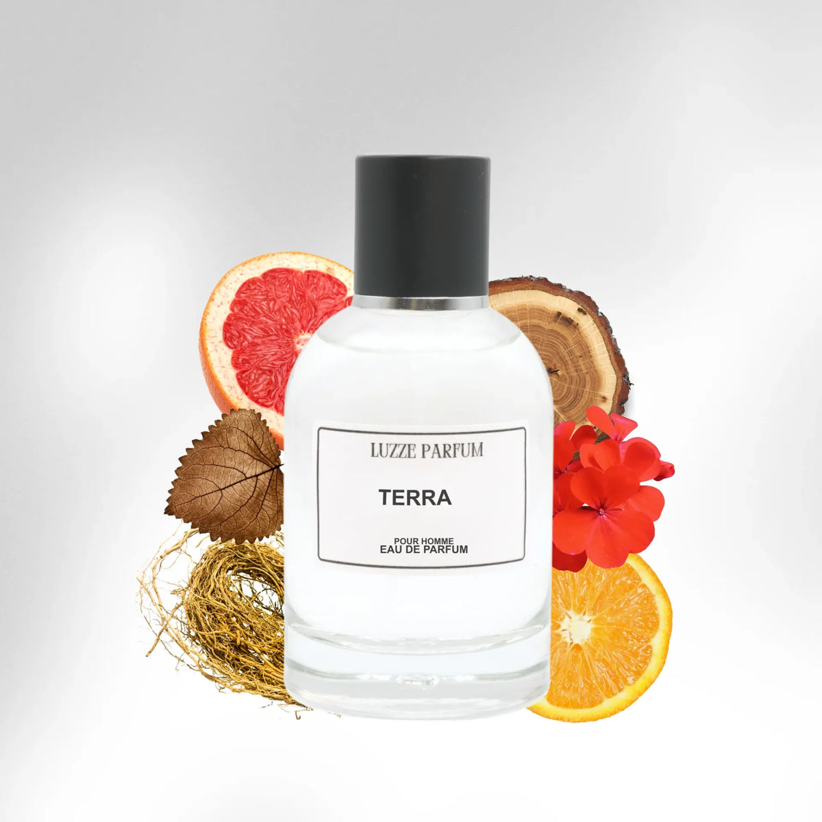 TERRA
